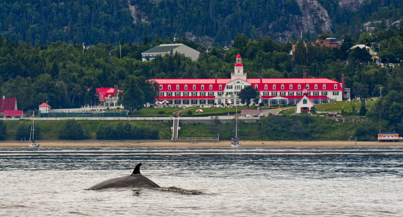 Tadoussac